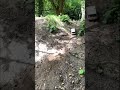 Range Rover classic rc Hill Climb #shorts