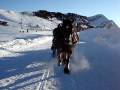 Caleche d&#39;Avoriaz