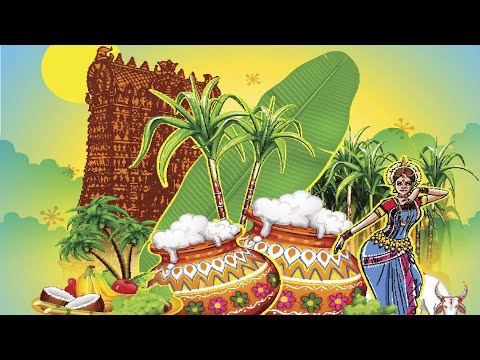 Wish You Happy Pongal 2022 |Pongal whatsapp status video |Happy Pongal Status |Pongal wishes