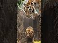 “Sher Gir Gaya…🦁 #shorts #shortsfeed #trending #ytshorts #ai