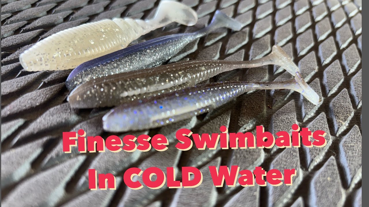 Coldwater FINESSE Swimbait Presentation & Rigging | Cold Water Kings Series | #bassfishing