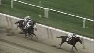 Breeders' Cup Classic Montage 1984-2006