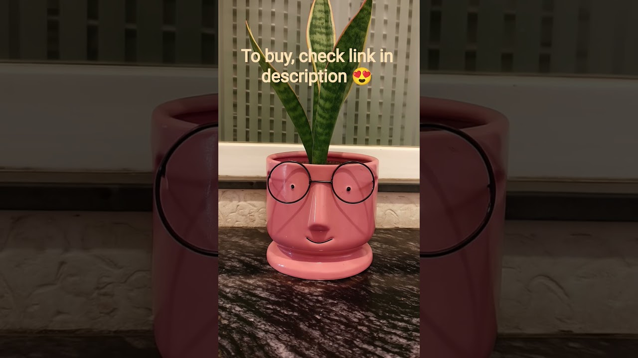 Quirky ceramic face planter with round glasses|Fun Tabletop pot for indoor plants and decor|