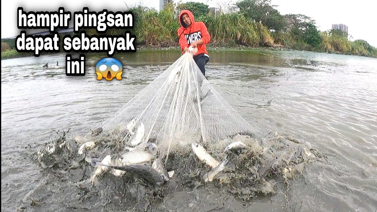 Jala Ikan Belanak Di Muara Sekali Tebar Babon Semua / Best Net Fishing