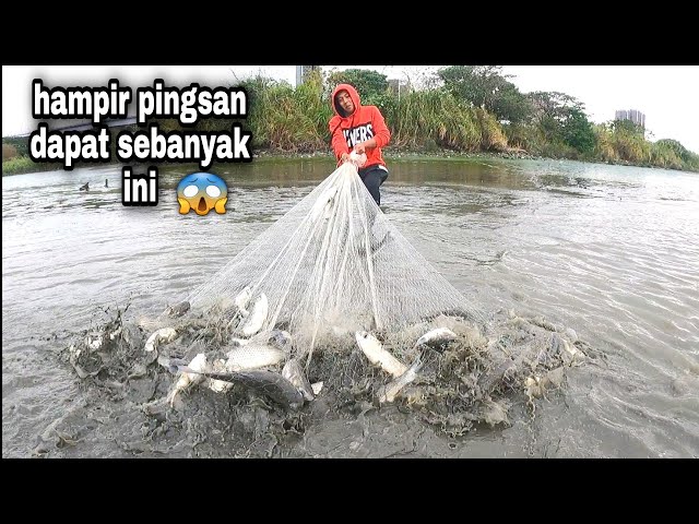 Jala Ikan Belanak Di Muara Sekali Tebar Babon Semua / Best Net Fishing class=