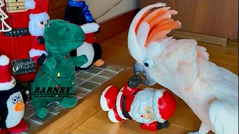 It’s beginning to look a lot like Christmas! 🎶🎅🎄 You’re coming with me Santa! 🎅😂