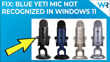 Blue Yeti mic not recognized in Windows 11? Try these fixes!