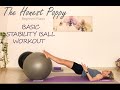 Basic Stability ball workout (beginners)