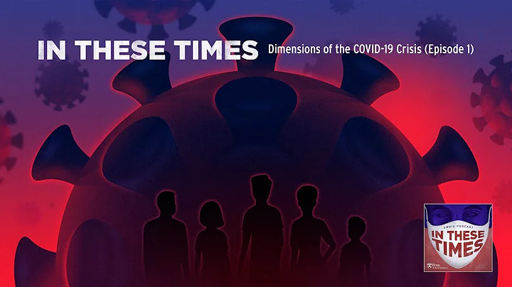 In These Times | Dimensions of the Covid-19 Crisis...