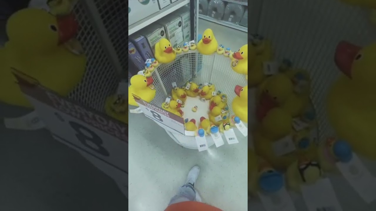 Ducks performing a religious sacrifice… 