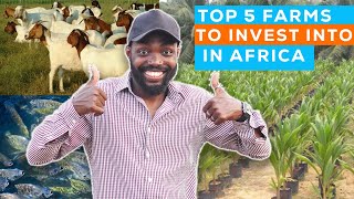 TOP 5 FARMING IDEAS TO INVEST IN 2023 AS A FARMER IN AFRICA