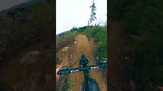 Fast And Grippy Trails!