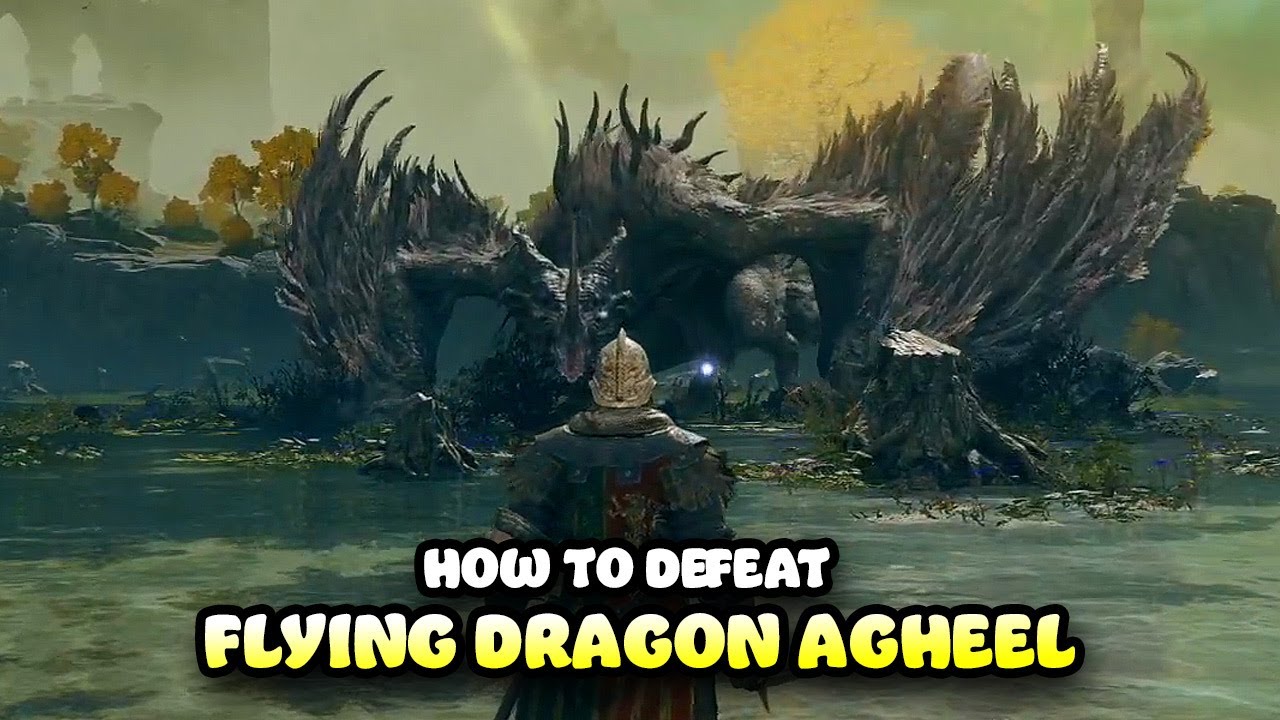 Flying Dragon Agheel