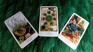 TƯƠNG LAI PHÍA TRƯỚC CỦA BẠN SẼ ĐẦY ẮP "ĐIỀU KÌ DIỆU " NÀO?  @EvelynTarot