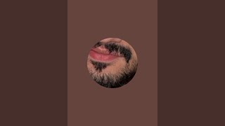 #oldysatisfyingvideo #trending #shortsfeed #viralvideo #livestream #viral #10million #asmr #topvideo