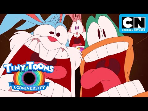 Tiny Toons Looniversity 🐰✏️ Trailer | Cartoon Network