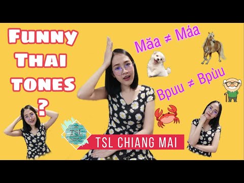 TSL Chiang Mai: Thai lesson by Teacher View "Funny Thai Tones"