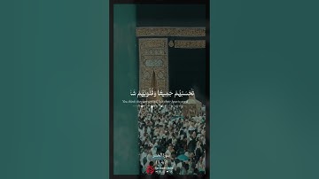 لا يقاتلونكم جميعا إلا في قرى محصنة أو من وراء جدر بأسهم بينهم شديد - سورة الحشر الآية 14