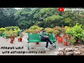 Morning Walk with Nature @Cubbon Park | Best breakfast near Cubbon Park | Bangalore | Karnataka