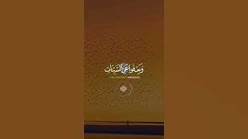📖سورة الشورى 🎙️اسلام صبحي