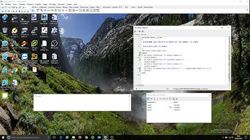 LAZARUS Debug   Davide Forner 1M