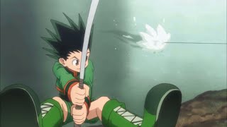 Gon Catches The Master Of The Swamp