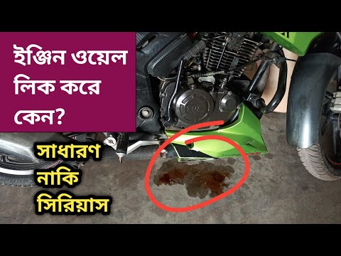 ভিডিও: কেন আমার স্নোব্লোয়ার তেল লিক করে?