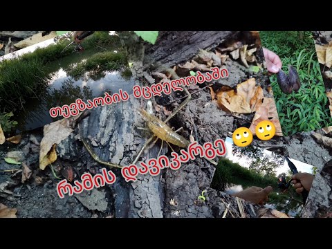 ალაზანზე ტივტივით თევზაობა 21.07.2024