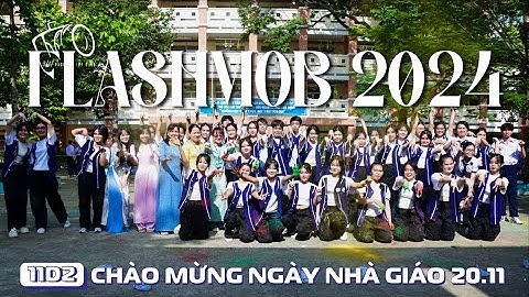 11D2 | HỘI THI FLASHMOB CHÀO MỪNG 20/11 NĂM HỌC 2024 - 2025