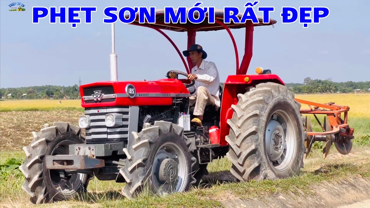 Siêu phẩm massey ferguson 185 lên cầu trước cày đất bỏ hoang lâu năm cày không xuống luôn
