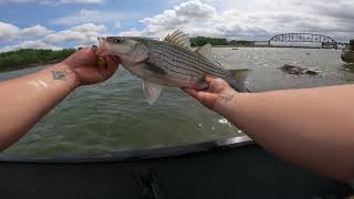 Hybrid fishing on the mighty ohio river!