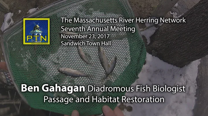 Ben Gahagan MA DMF Massachusetts River Herring Net...