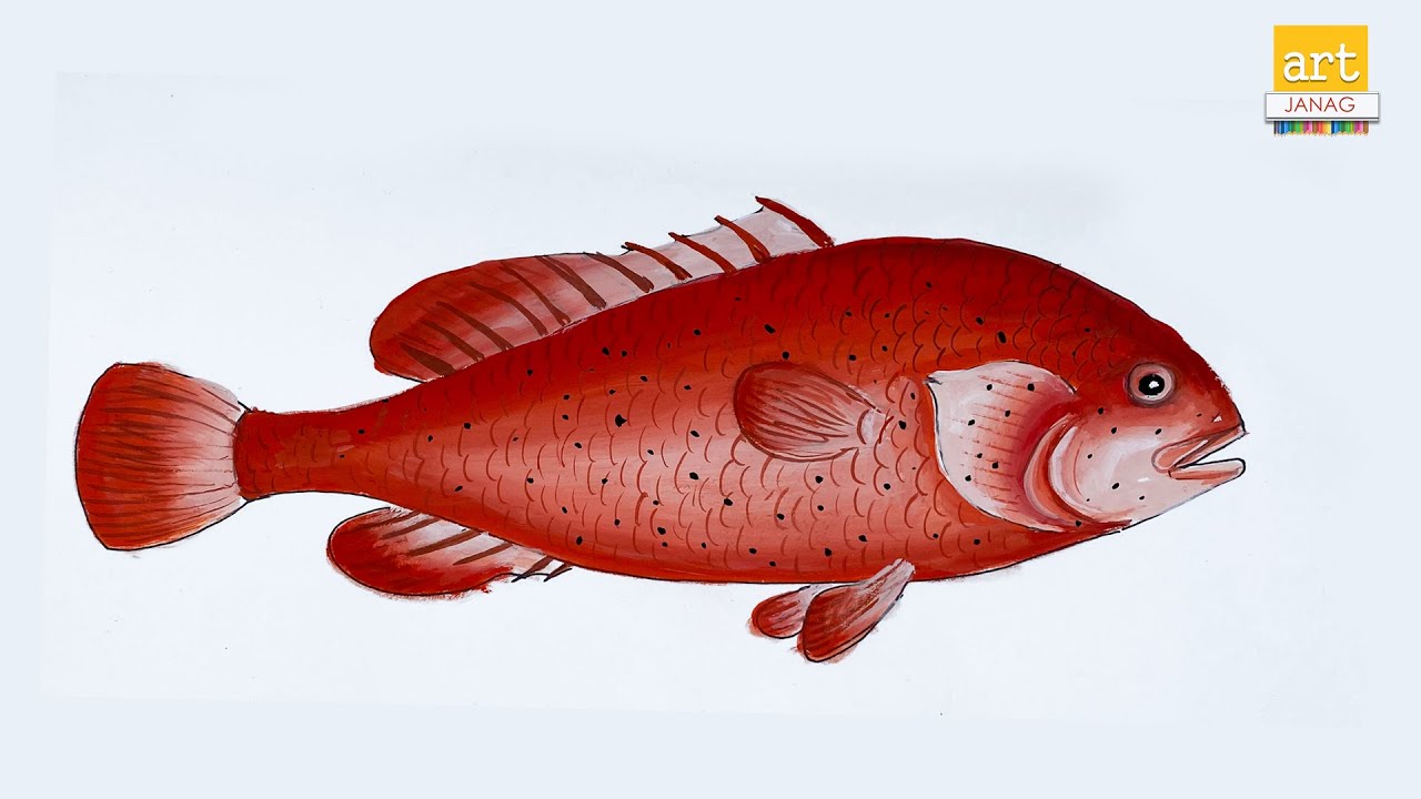 How to Draw a Red Color Fish II How to draw an Fish II #artjanag