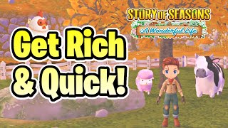 10+ Money Making Tips for Story of Seasons A Wonderful Life!
