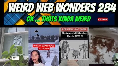 weird web wonders 284