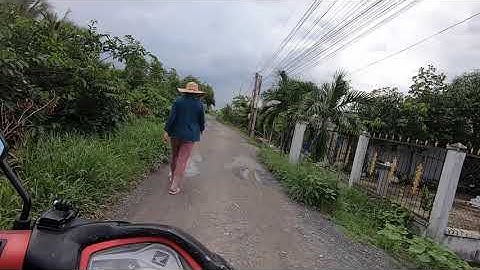 Từ Xã Đông Thạnh qua xã Tân Tập mới biết đường làng  nhọc nhằn - Lang Thang Huyện Cần Giuộc