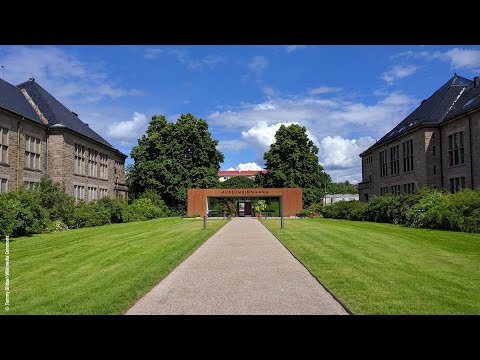 Video: Nasjonalt forhistorisk museum 