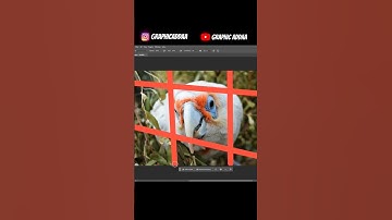 Remove Fence with 3 Simple Steps in Photoshop#youtubeshorts #viral #tutorial