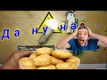 Много электричества из картошки