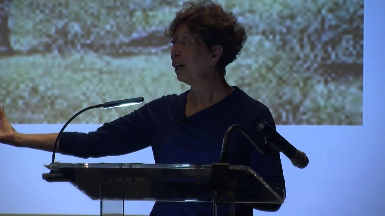 festival of lights Mary Louise Pratt: Indigenous people & the modernist myth of travel