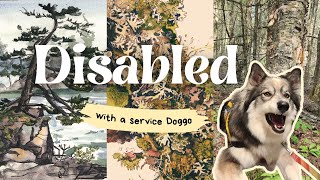 Disabled Artist with a Service Dog - Opening up About Challenges I face due to disability