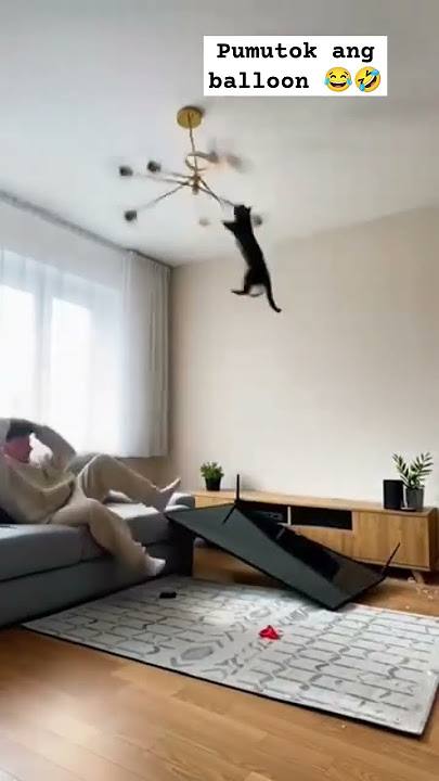 I Just Dropped It Because It Broke #shortvideo #funny #shortvideos #viral #officalvideo #youtubes...