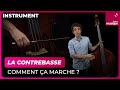 La contrebasse comment a marche  lucas henri  culture prime