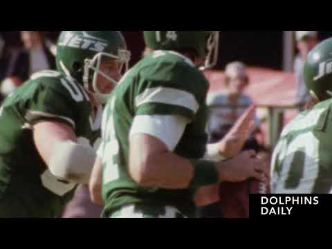 dolphins-daily---looking-back-