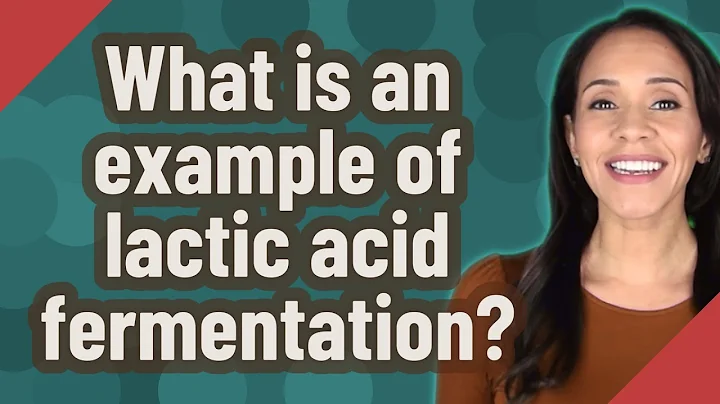 What is an example of lactic acid fermentation?