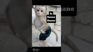 Ya Banane Banane Sevmezsen Sevme Kızım Banane