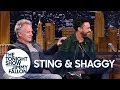 Sting Met Shaggy After He Wandered Onstage During "Roxanne"