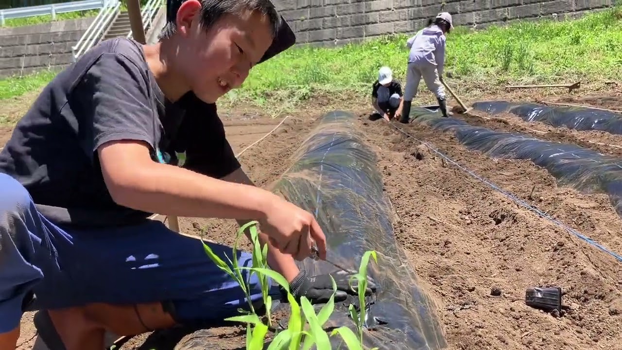 1人1畝百姓