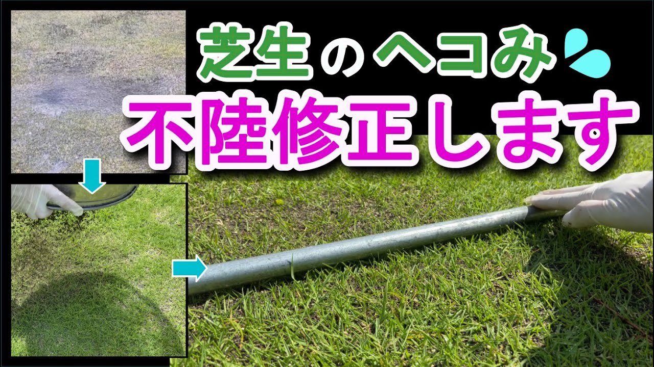 芝のコガネムシ害虫駆除 害虫の生態と応急処置 殺虫剤 Youtube 芝のコガネムシ害虫駆除 害虫の生態と応急処置 殺虫剤 Youtube
