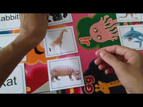 Video: Cara Membuat Kartu Di Flash